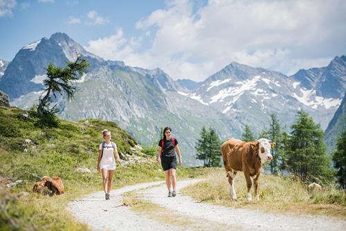 2022mindfulmountaindays_wandere-achtsam